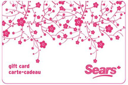 Sears Gift Card Online Women