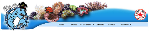 Big Al's Aquarium Furniture Fish online
