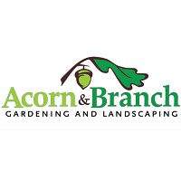 Acorn And Branch