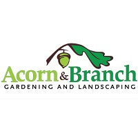 Acorn And Branch Logo