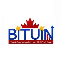 Logo Bituin Tax and Accounting Services
