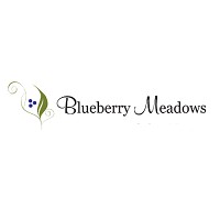 Logo Blueberry Meadows
