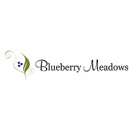 Blueberry Meadows Logo