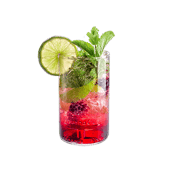 Drinks Recipes