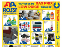 Preview of Rossy - Low Price Promise