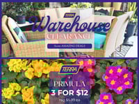 Preview of TERRA - Weekly Flyer Specials