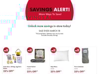 Preview of The Bargain Shop - Flyer Specials