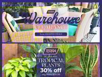 Preview of TERRA - Weekly Flyer Specials