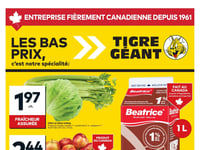 Preview of Giant Tiger - Quebec - Weekly Flyer Specials