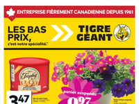 Preview of Giant Tiger - Quebec - Weekly Flyer Specials