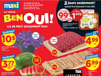 Preview of Maxi - Weekly Flyer Specials
