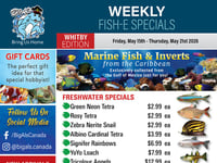 Preview of Big Al's - Whitby - Weekly Flyer Specials