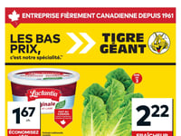 Preview of Giant Tiger - Quebec - Weekly Flyer Specials