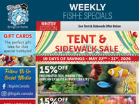 Preview of Big Al's - Whitby - Flyer Specials