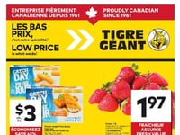 Preview of Giant Tiger - Quebec - Weekly Flyer Specials