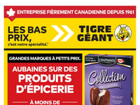 Preview of Giant Tiger - Quebec - Weekly Flyer Specials