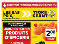 Preview of Giant Tiger - Quebec - Weekly Flyer Specials