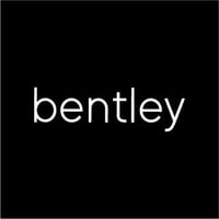 View Bentley Flyer online