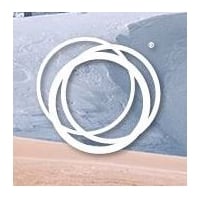 View Bugaboo Flyer online