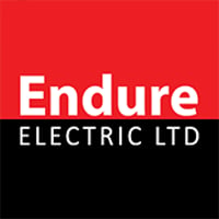 View Endure Electric Flyer online