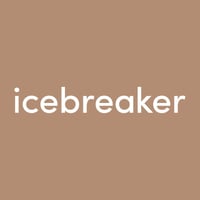 View icebreaker Flyer online
