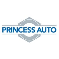 View Princess Auto Flyer online