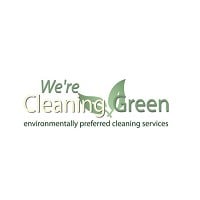 View We're Cleaning Green Flyer online