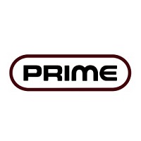 View Prime Electric Flyer online