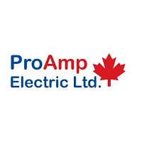 Pro Amp Electric logo
