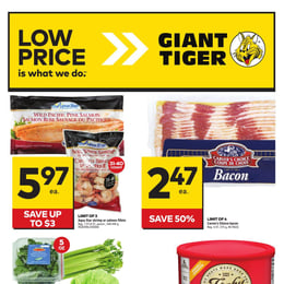 Giant Tiger - Ontario - Weekly Flyer Specials