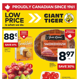 Giant Tiger - Ontario - Weekly Flyer Specials