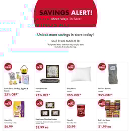 The Bargain Shop - Flyer Specials