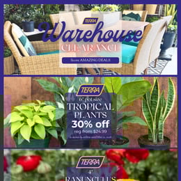 TERRA - Weekly Flyer Specials