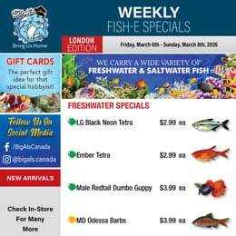 Big Al's - London - Weekly Flyer Specials