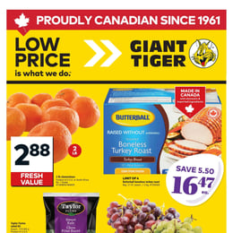 Giant Tiger - Ontario - Weekly Flyer Specials