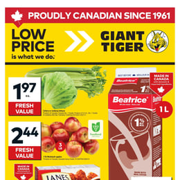 Giant Tiger - Ontario - Weekly Flyer Specials