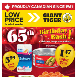 Giant Tiger - Ontario - Weekly Flyer Specials