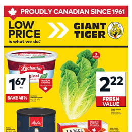 Giant Tiger - Ontario - Weekly Flyer Specials