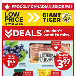 Giant Tiger - Ontario - Weekly Flyer Specials