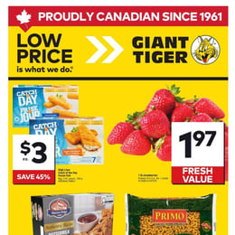 Giant Tiger - Ontario - Weekly Flyer Specials