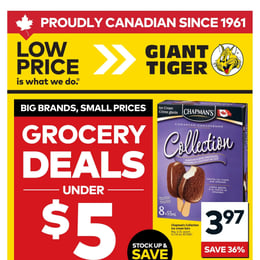 Giant Tiger - Ontario - Weekly Flyer Specials