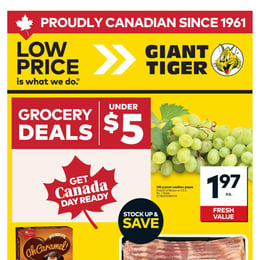 Giant Tiger - Ontario - Weekly Flyer Specials