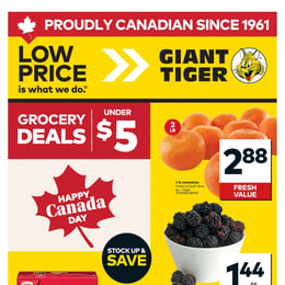 Giant Tiger - Ontario - Weekly Flyer Specials