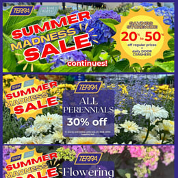 TERRA - Weekly Flyer Specials