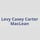 Levy Casey Carter MacLean CPA