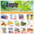 Ample Food Market Brampton Store Weekly Flyers