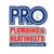 Pro Plumbing & Heating Ltd. online flyer
