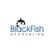 Blackfish Accounting online flyer