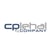 CP Lehal online flyer