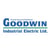 Goodwin Electric online flyer